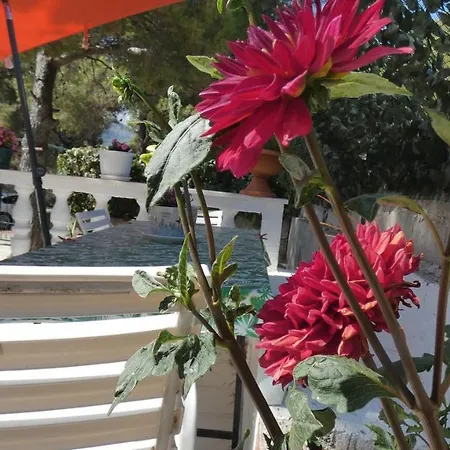 Two-room Lidija With Terrace And Parking Donji Okrug (Ciovo)