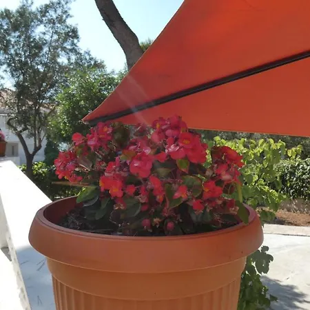 Apartment Two-room Lidija With Terrace And Parking Donji Okrug (Ciovo)