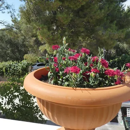 Two-room Lidija With Terrace And Parking Apartment Donji Okrug (Ciovo)