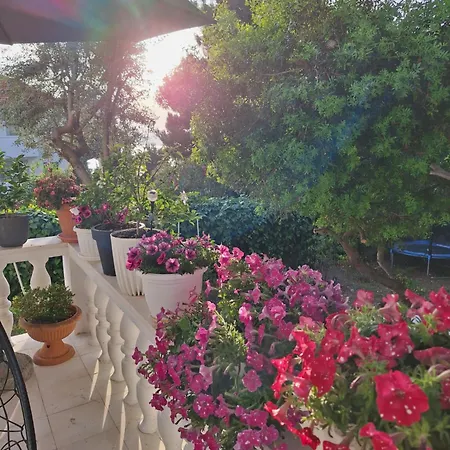 Two-room Lidija With Terrace And Parking Apartamento Donji Okrug